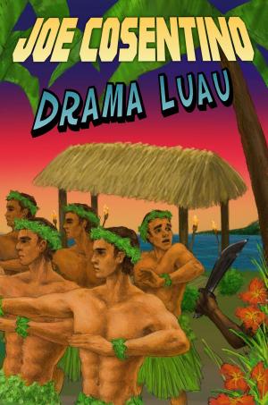 Book cover of Drama Luau: A Nicky and Noah Mystery