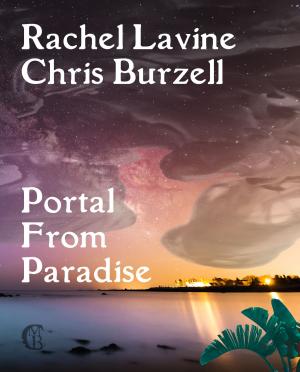 Cover of the book Portal From Paradise by Joshua Palmatier, Patricia Bray, Seanan McGuire