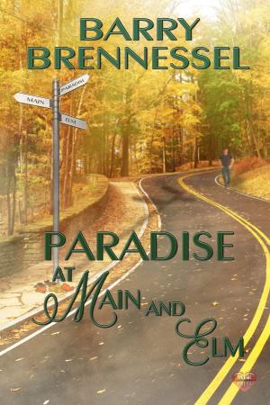 Cover of the book Paradise at Main & Elm by Jet Mykles
