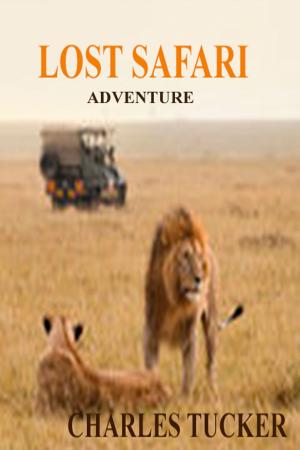 Cover of the book The Lost Safari by David Grainger