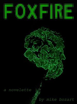 Cover of the book Foxfire by Christina Dudley