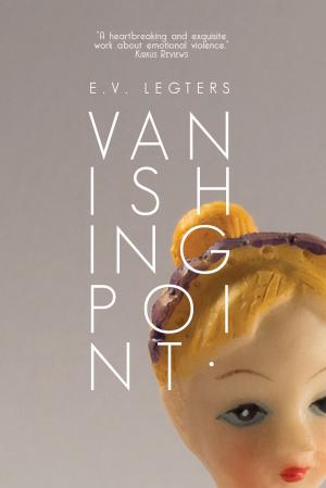 Cover of the book Vanishing Point by Hal Duncan