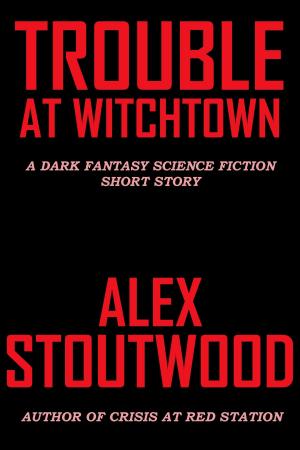 Book cover of Trouble At Witchtown