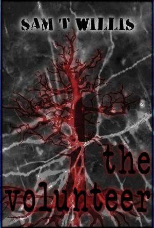 Cover of the book The Volunteer by Emily R Pearson