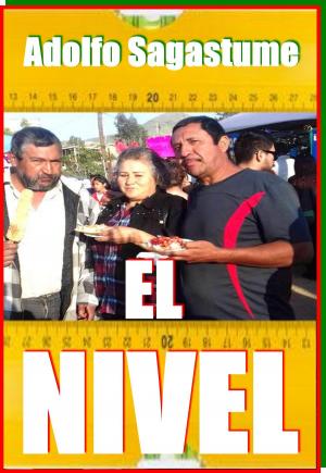 Cover of El Nivel (cuento)