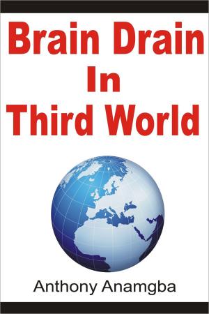 Cover of the book Brain Drain in Third World by Anthony Anamgba