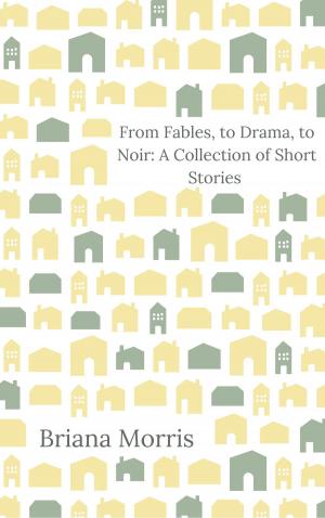 bigCover of the book From Fables, to Drama, to Noir: A Collection of Short Stories by 