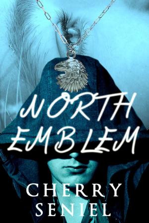 Cover of the book North Emblem by C.R. Aatree