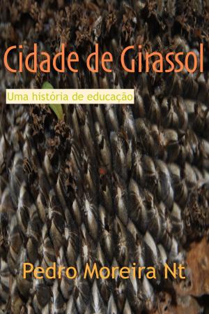 Cover of the book Cidade de Girassol by Remy de Gourmont, F. Vallotton (illustrateur)
