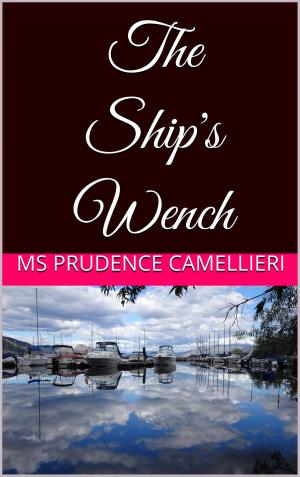 Cover of The Ship's Wench