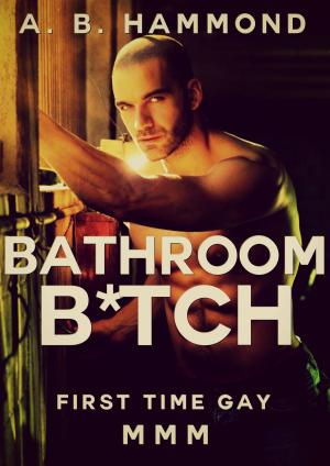 Cover of Bathroom B*tch: First Time Gay