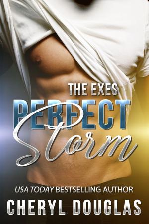 Cover of Perfect Storm (The Exes #1)