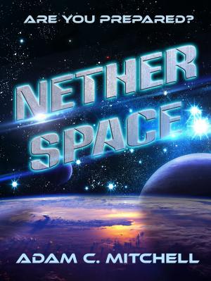 bigCover of the book Netherspace by 