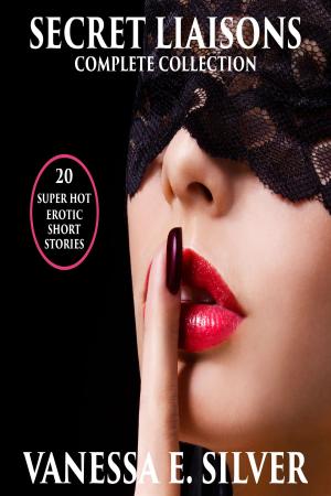Book cover of Secret Liaisons Complete Collection: 20 Super Hot Erotic Short Stories