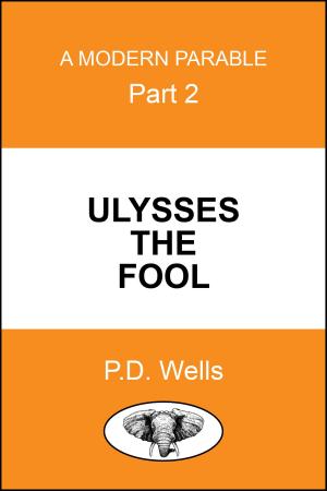 Cover of the book Ulysses the Fool by Neil Ackerman