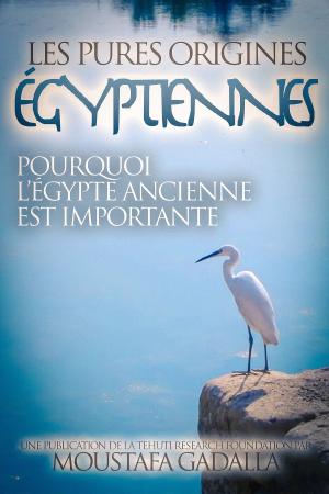 Cover of Les Pures Origines Égyptiennes: Pourquoi l’Égypte Ancienne est Importante