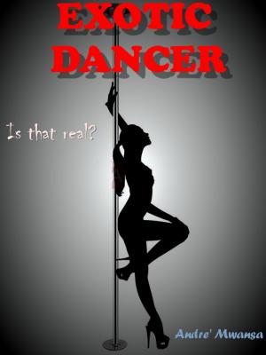 Cover of the book Exotic Dancer by Andre' Mwansa