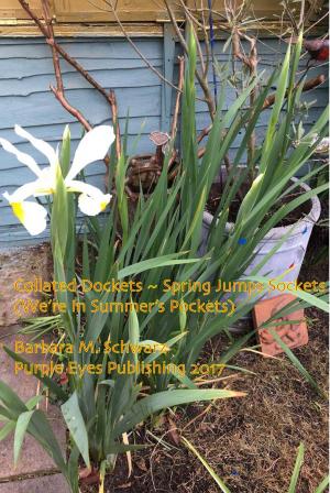 bigCover of the book Collated Dockets ~ Spring Jumps Sockets (We're In Summer's Pockets) by 