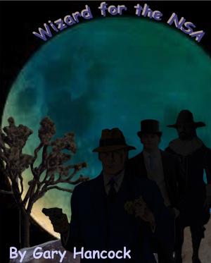 Book cover of Wizard for the NSA