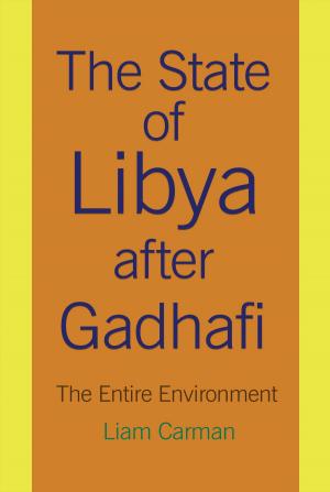 Book cover of The State of Libya after Gadhafi