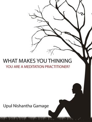 Cover of the book What Makes You Thinking You Are a Meditation Practitioner? by Upul Nishantha Gamage