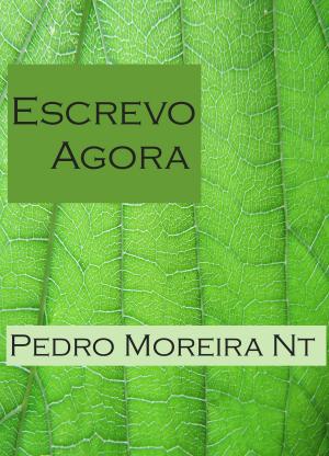 Cover of the book Escrevo Agora by Pedro Moreira Nt