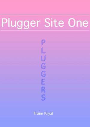 Book cover of Plugger Site One