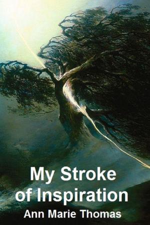 Book cover of My Stroke of Inspiration