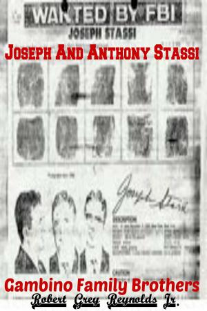 Book cover of Joseph And Anthony Stassi Gambino Family Brothers