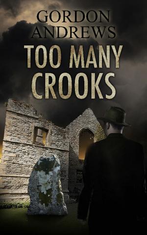 bigCover of the book Too Many Crooks by 