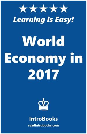 Cover of the book World Economy in 2017 by Can Akdeniz