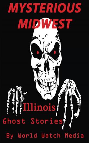 Cover of the book Mysterious Midwest: Illinois Ghost Stories by Patrick Bunker