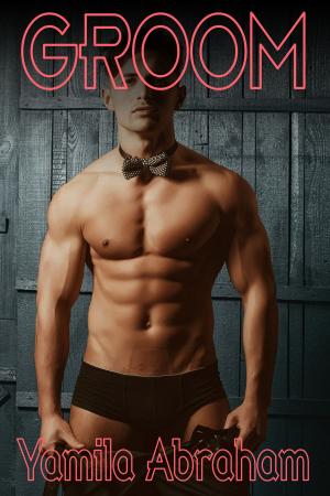 Cover of the book Groom by Ramona Belle