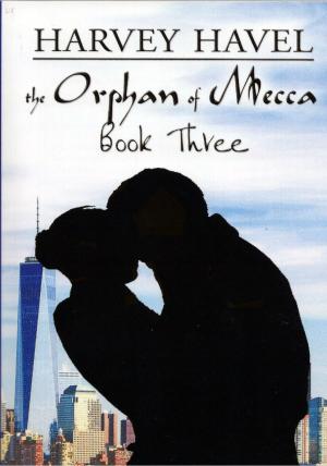 Book cover of The Orphan of Mecca, Book Three