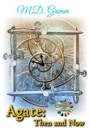 Cover of the book Agate: Then and Now (The Stones of Power Book 4) by James Ipse