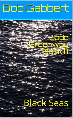 Cover of Jade Greenway Book III: Black Seas