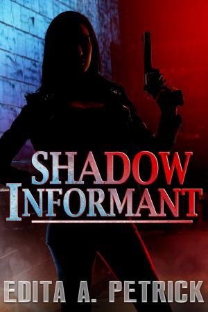 bigCover of the book Shadow Informant by 