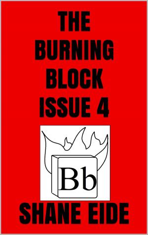 Cover of the book The Burning Block Issue 4 by TD Brewer