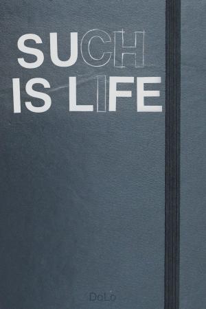 Cover of the book Such Is Life by Stu Shea