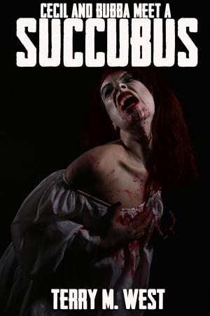 Book cover of Cecil and Bubba meet a Succubus: A Short Horror/Comedy Tale