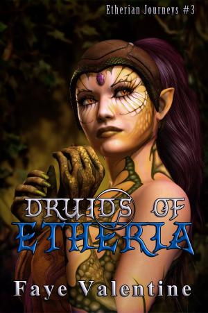 Cover of the book Druids of Etheria by Faye Valentine