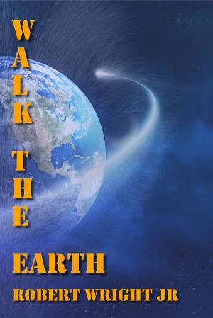 Book cover of Walk the Earth