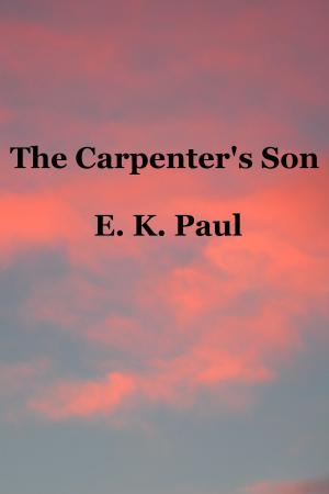 Book cover of The Carpenter's Son