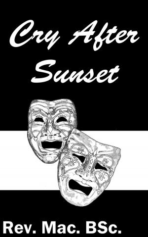 Book cover of Cry After Sunset