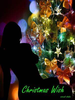 Book cover of Christmas Wish
