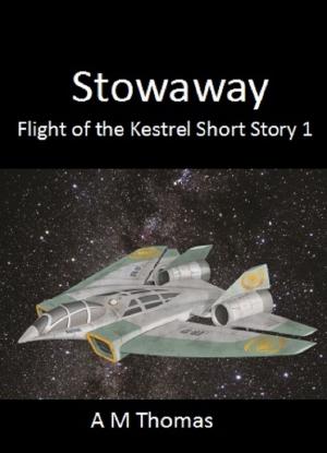 Book cover of Stowaway: Flight of the Kestrel Short Story 1
