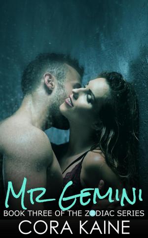 Cover of the book Mr. Gemini by C. Shell