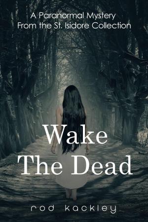 bigCover of the book Wake The Dead by 