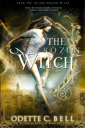 Book cover of The Frozen Witch Book Five