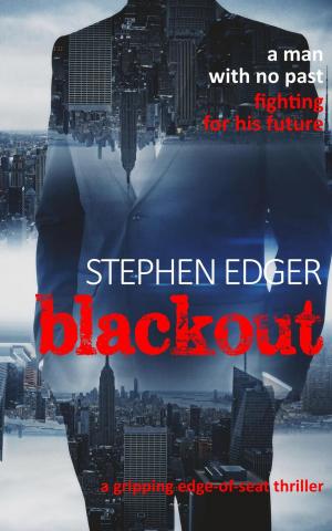 Cover of the book Blackout by Stephen E. Wright